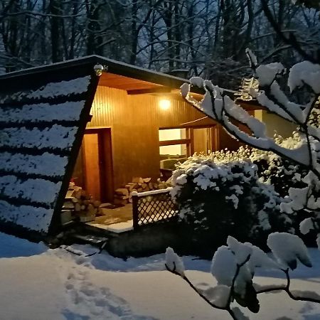 Chalpa Na Skarpie Villa Meszna Екстериор снимка