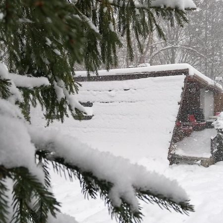 Chalpa Na Skarpie Villa Meszna Екстериор снимка