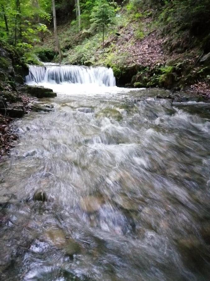 Chalpa Na Skarpie Villa Meszna Екстериор снимка