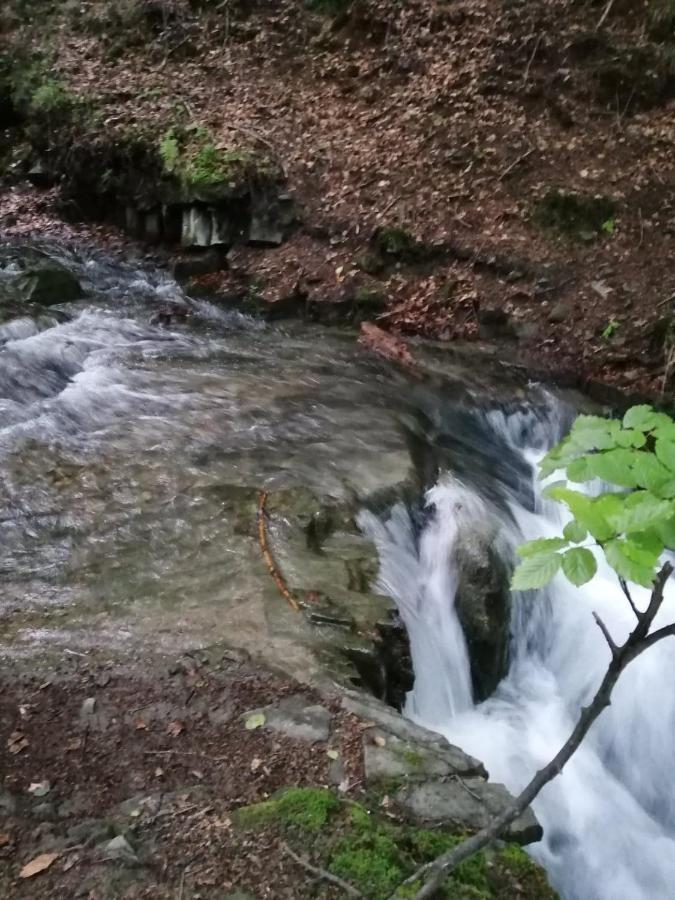 Chalpa Na Skarpie Villa Meszna Екстериор снимка