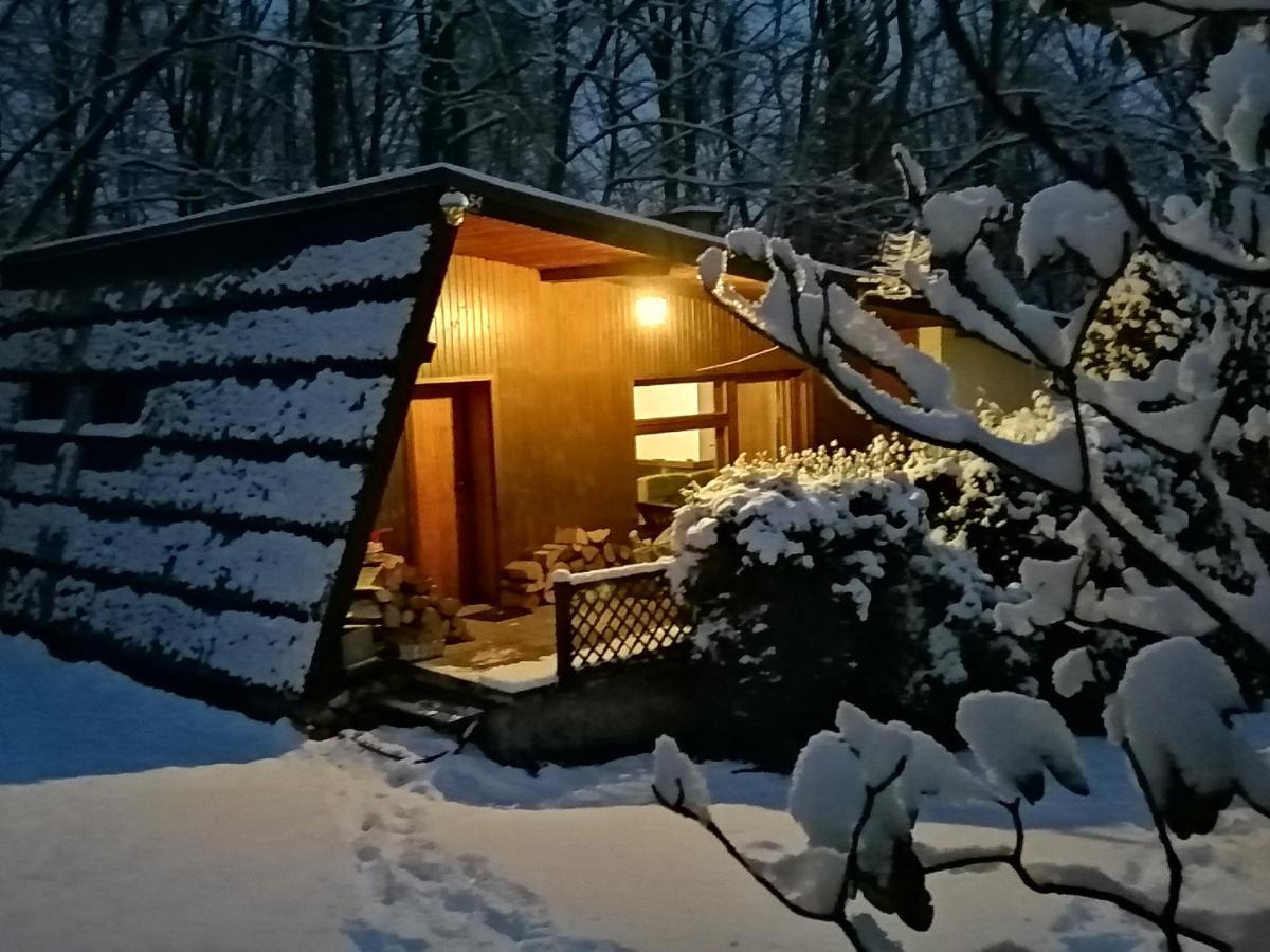 Chalpa Na Skarpie Villa Meszna Екстериор снимка
