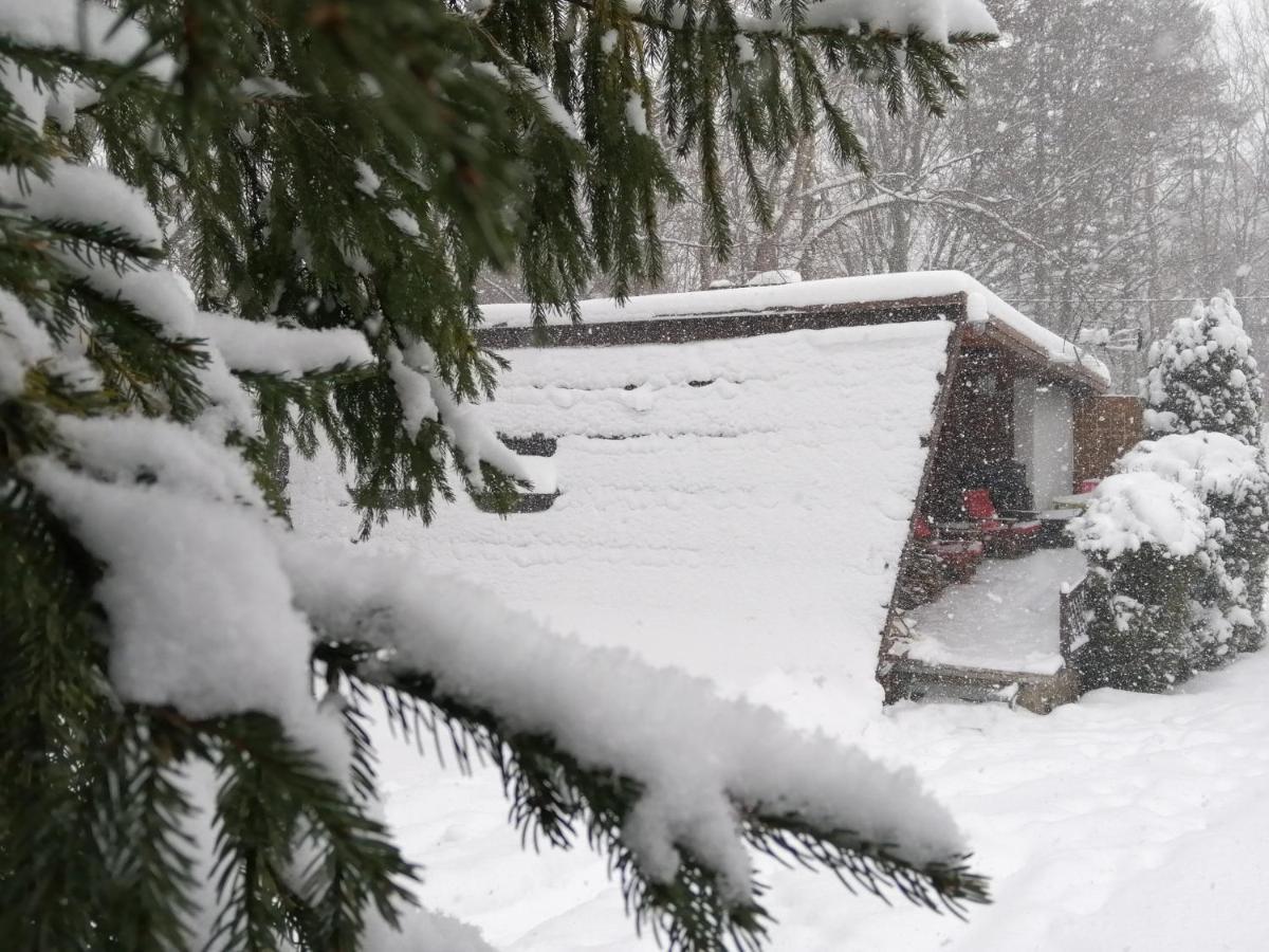 Chalpa Na Skarpie Villa Meszna Екстериор снимка