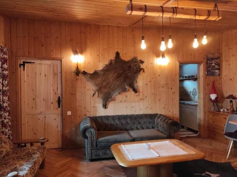 Chalpa Na Skarpie Villa Meszna Екстериор снимка
